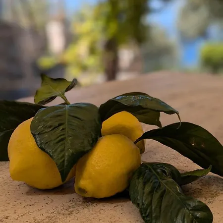 Paradise Sea View * فيكو إيكوينس